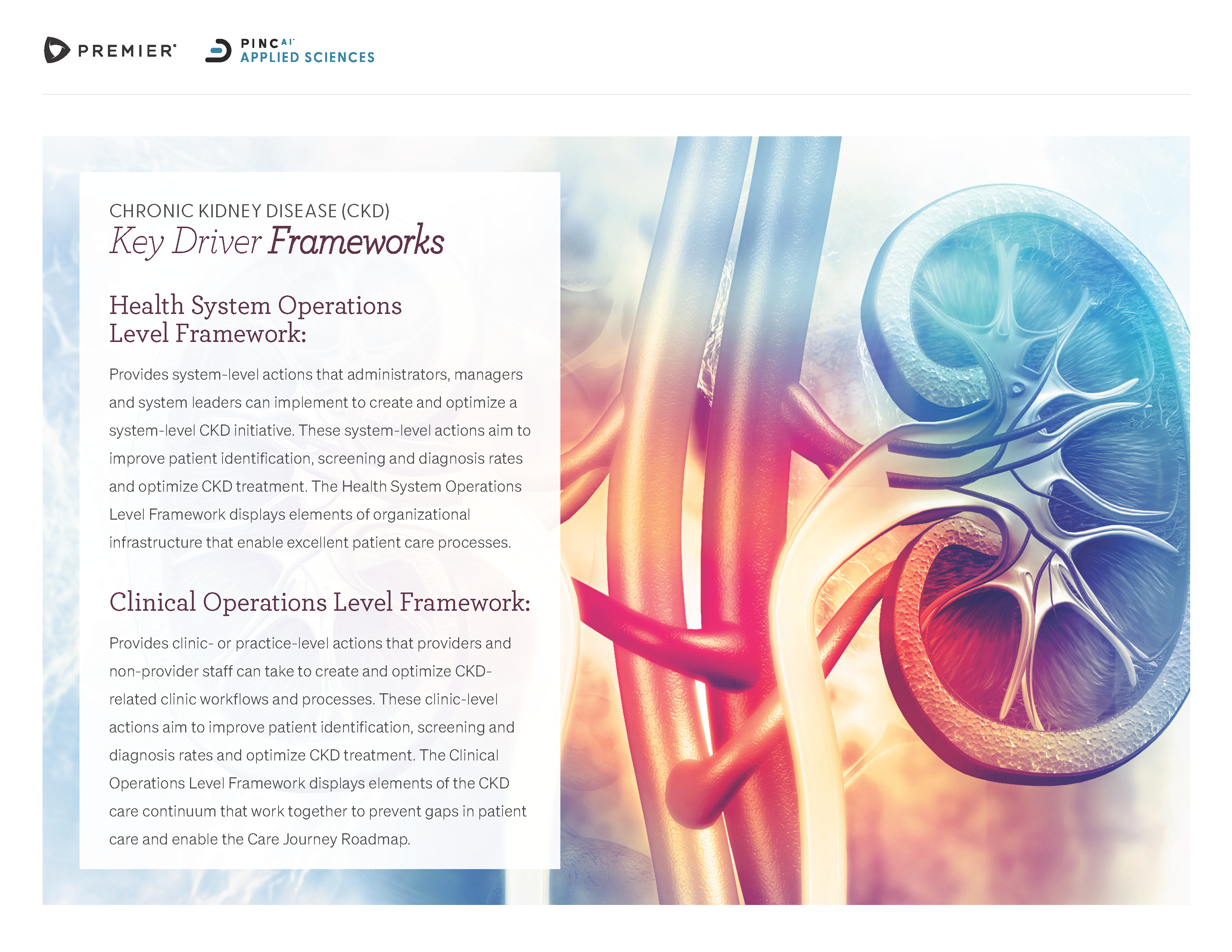 ckd-framework2