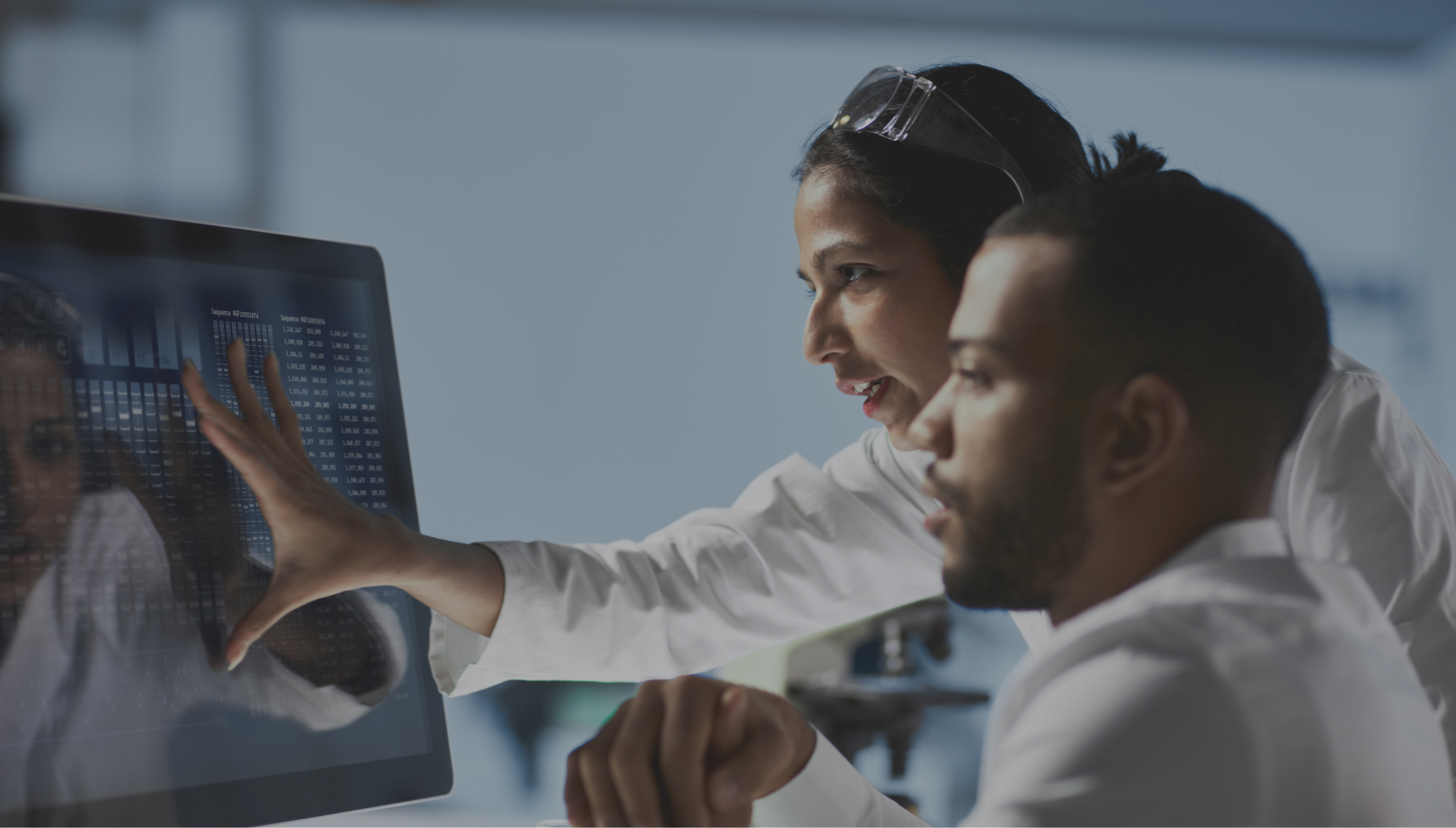 people analyzing data